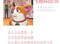 三句话读懂飞狗MOCO