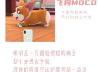 三句话读懂飞狗MOCO