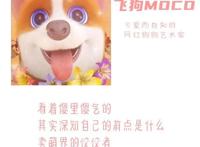 三句话读懂飞狗MOCO
