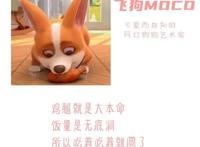 三句话读懂飞狗MOCO