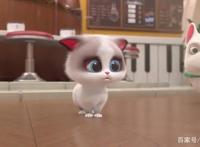 飞狗MOCO番外篇：宠物店三傻受难记