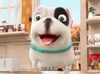 飞狗MOCO番外篇：宠物店三傻受难记