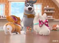 飞狗MOCO番外篇：宠物店三傻受难记