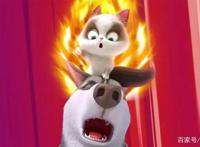 飞狗MOCO番外篇：宠物店三傻受难记