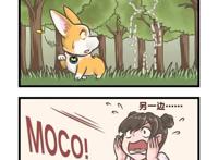 飞狗MOCO漫画：意外总是说来就来