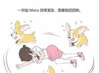 飞狗MOCO漫画：我从来不担心他会离开我