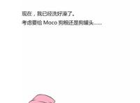 飞狗MOCO漫画：我从来不担心他会离开我