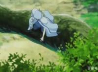 幻界王11话：楚凌霄2次耀眼表现，2次老师惊讶，1次爆发潜力