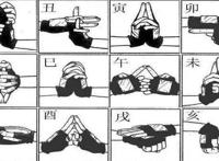 火影忍者：深度分析为什么六道神器最后会落到天天的手里