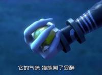 巨兵长城传：“木天果果”在现实中也存在，喵星人闻了会上头