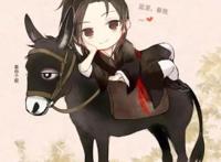 盘点拍成动漫的双男主文：忘羡一曲云深处，冰秋一诺春山情