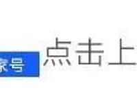 老少皆宜的优秀国产动画——《那年那兔那些事》