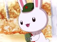 那年那兔那些事儿：这个历史，讲得有点不一样