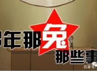 历史也能如此好看！国漫“那年那兔那些事儿”强烈推荐