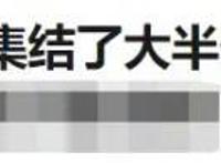 历史也能如此好看！国漫“那年那兔那些事儿”强烈推荐