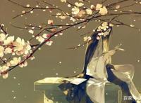 少女心爆棚的国漫，灵契仅排第二，第一圈粉无数