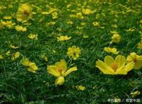 《女娲成长日记》敖潜顿时郁闷，这种被人当不懂事小孩感觉真不好