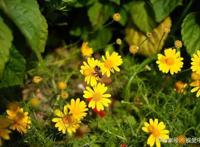 《女娲成长日记》敖潜顿时郁闷，这种被人当不懂事小孩感觉真不好