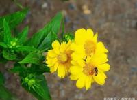 《女娲成长日记》敖潜顿时郁闷，这种被人当不懂事小孩感觉真不好