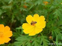 《女娲成长日记》敖潜顿时郁闷，这种被人当不懂事小孩感觉真不好