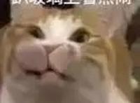 你追剧，我追国产泡面番这个闪着金光的大坑