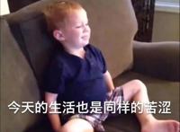 你追剧，我追国产泡面番这个闪着金光的大坑