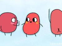 请吃红小豆吧第二季：萌萌的红小豆能否续写第一季的好口碑？