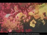 《拳皇命运》手游宣传广告情怀上线