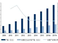SNK宣布正统动画《拳皇命运》8月3日中国正式上映