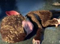 《山河社稷图》——少年的奇幻冒险