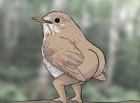 当粉丝质疑漫画家给鸟画的腿不够真实后，反转来了……