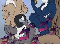 当粉丝质疑漫画家给鸟画的腿不够真实后，反转来了……