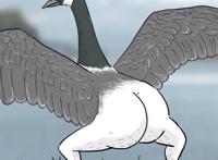 当粉丝质疑漫画家给鸟画的腿不够真实后，反转来了……