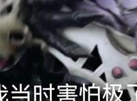 《平家物语》的开篇诗，正好是假面骑士Revice的当今状态！