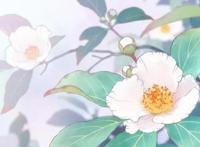 漫评人的噩梦，很难读懂的山田尚子新作《平家物语》第一集有感