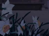 漫评人的噩梦，很难读懂的山田尚子新作《平家物语》第一集有感