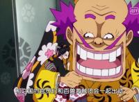 海贼王动漫926：罗宾被大蛇御庭番众追捕，大妈落难后失忆