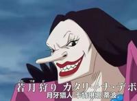 海贼王：此人和罗宾相似，却异常显老，漫迷：她是乌索普外婆吧？