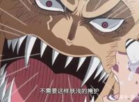 海贼王：男生和女生的审美差距太大！看娜美和罗宾的审美就知道了