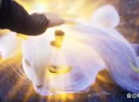 神印王座：动画与原著差别太大，无牙仔都出现了