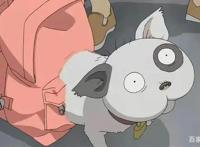 冷门不代表不好看，这六部冷门番真的很良心！