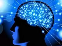 记忆大师课程靠谱吗？超级记忆学培训骗局揭秘