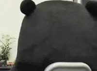 看！石狮！要登上央视，火遍全国了！这次的方式让人意外……