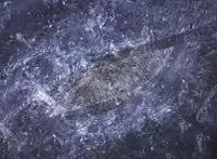 变形金刚——领袖之证第五十八集