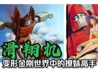 变形金刚人物志滑翔机