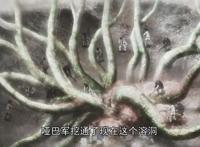 《盗墓笔记》老痒假扮王老板，制造尸茧好残忍，来看缝纫机名场面