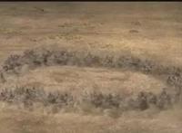 《观海策》：“后九州时代”的雄心