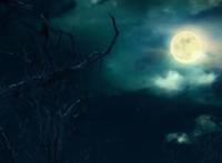 《观海策》庞沧中计生死不明，姬匡献计解围惹不满！