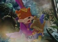 黑小虎不比虹猫差，只是错的时间，爱上了错的人