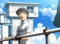 动漫大调查：绪方老师作品排名，《新世纪福音战士》碇真嗣只第三